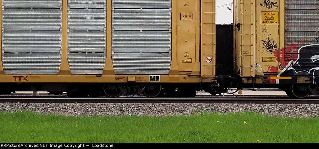 TTGX 159976